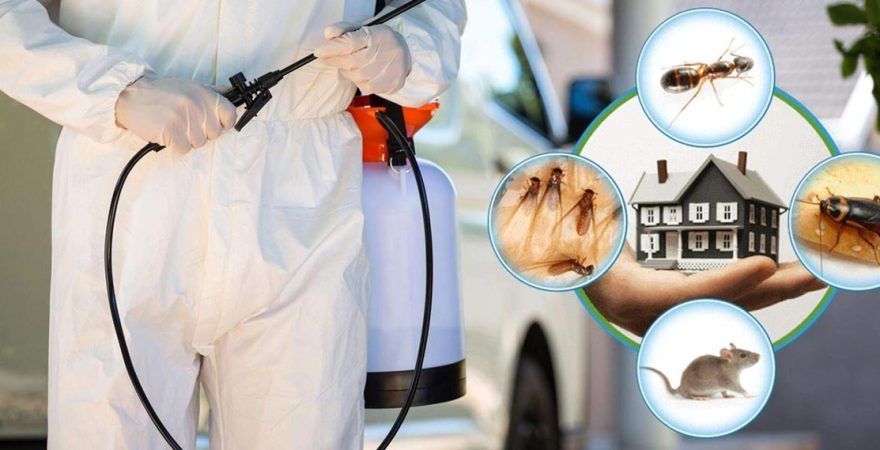 Haymana Böcek İlaçlama