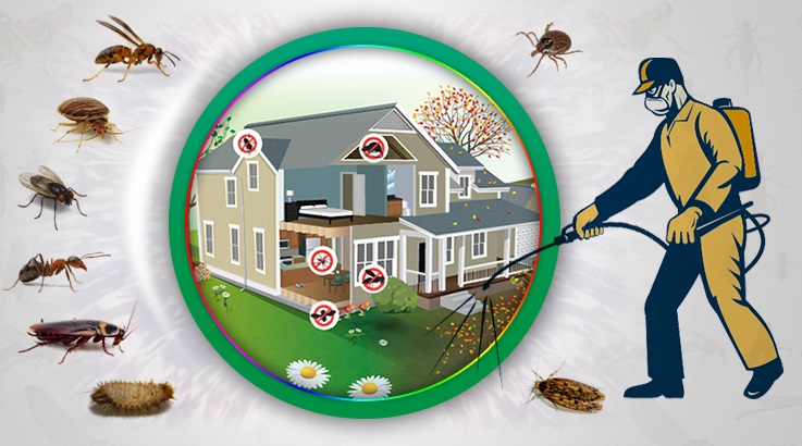 Haymana Böcek İlaçlama