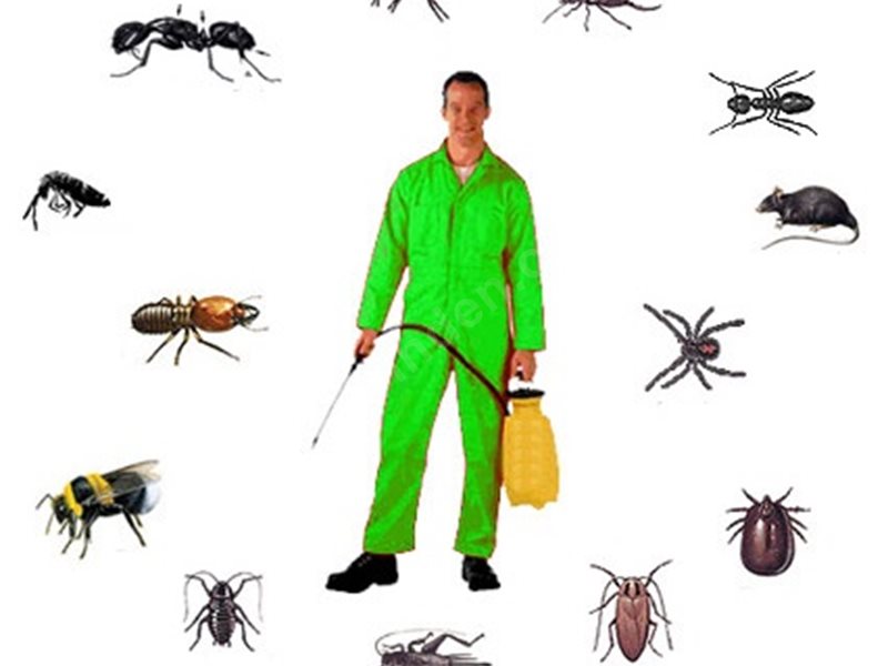 Haymana Böcek İlaçlama